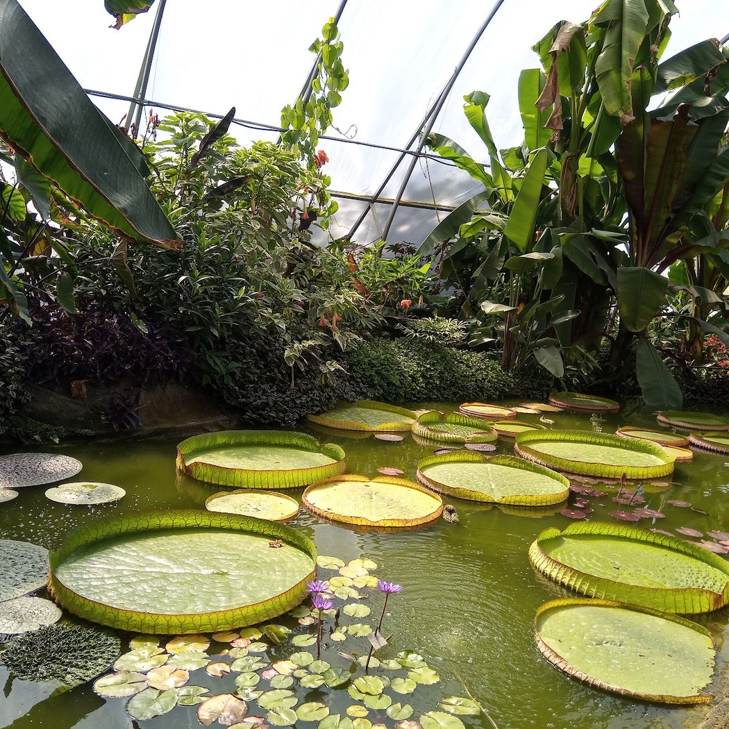 Jardin du Beau Pays 2